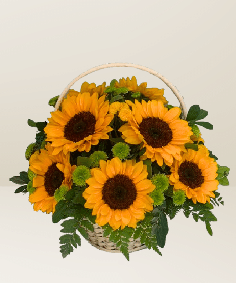 Canasta Full Girasoles 1